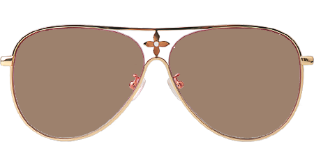 Z1869U Sunglasses Gold Light Brown