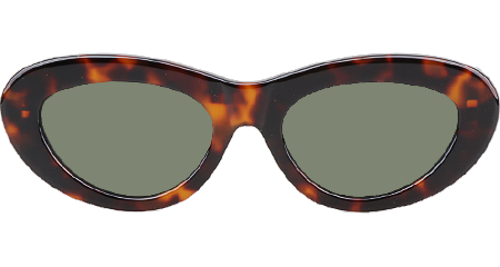 Z1983E Sunglasses Tortoise Green