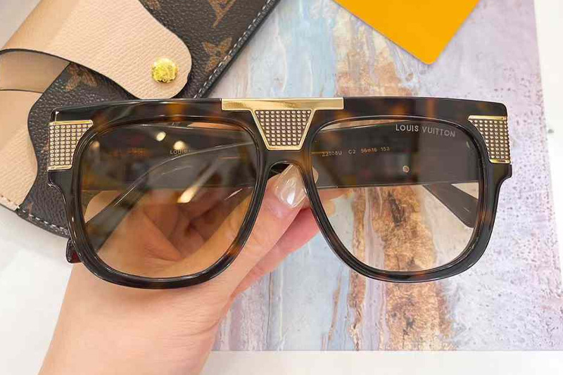 Z2008E Sunglasses Tortoise Gradient Brown