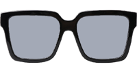 Z2097W Sunglasses Black Gold Silver Flash Logo
