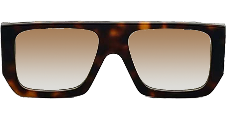 Z2615W Sunglasses Tortoise Gradient Brown