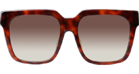 Z2682E Sunglasses Tortoise Gold Gradient Brown
