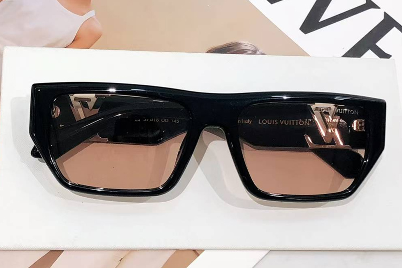 Z2873U Sunglasses Black Brown