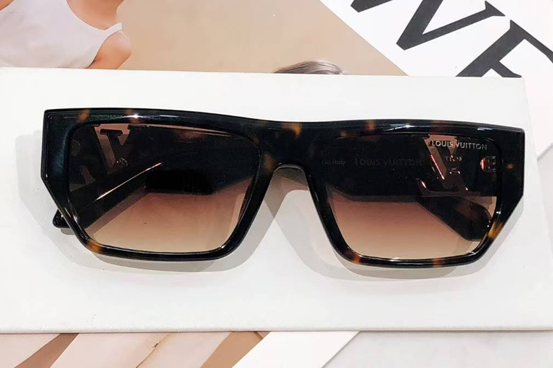 Z2873U Sunglasses Tortoise Gradient Brown