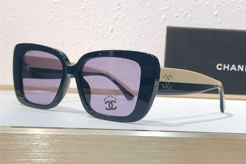CH3502S Sunglasses Black Yellow Purple