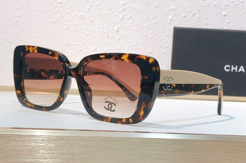 CH3502S Sunglasses Tortoise Gradient Brown