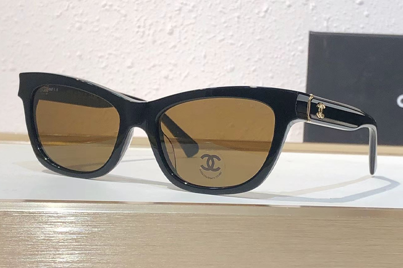 CH3520 Sunglasses Black Brown