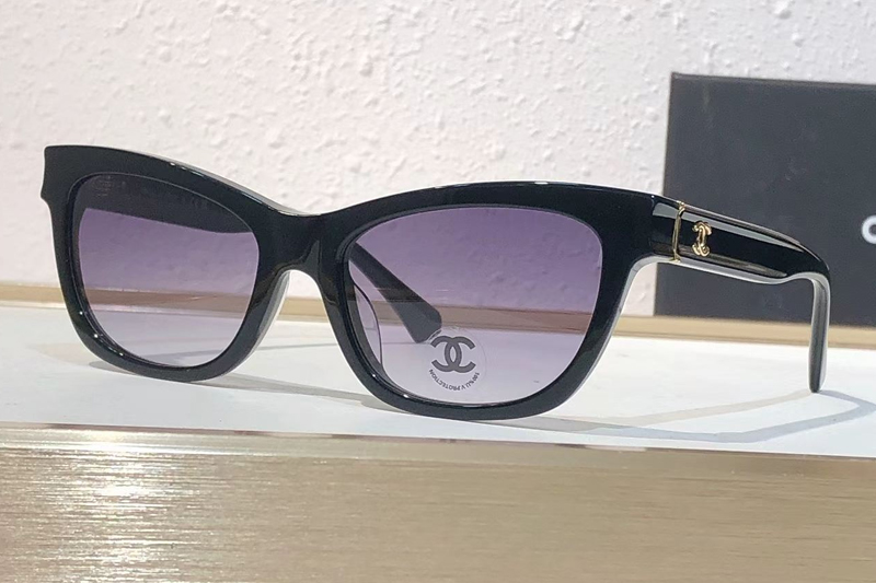 CH3520 Sunglasses Black Gradient Gray