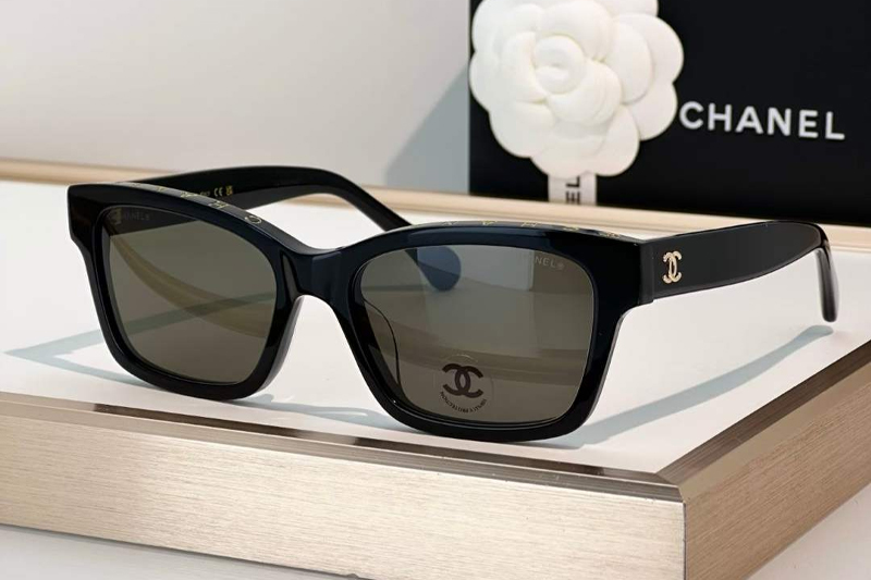 CH3528 Sunglasses Black Light Gray