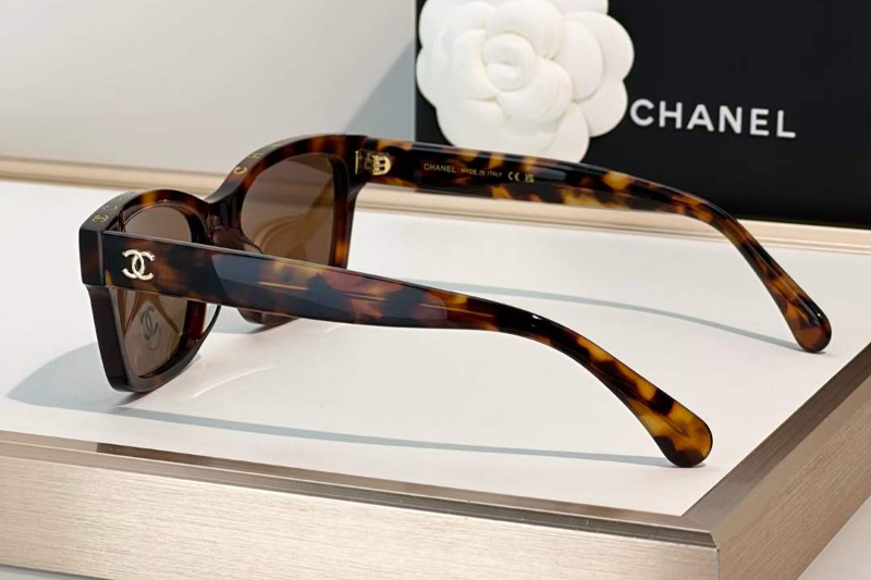 CH3528 Sunglasses Tortoise Brown