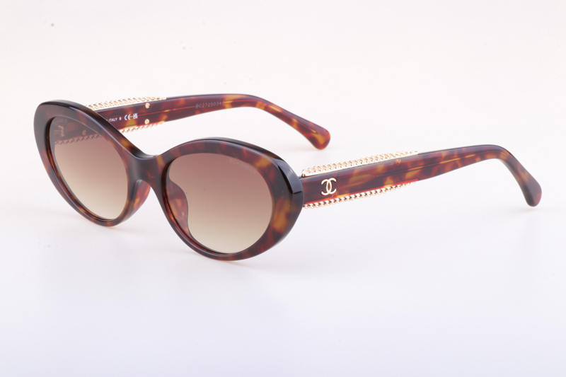 CH5515 Sunglasses Tortoise Gradient Brown