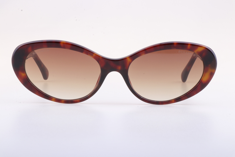 CH5515 Sunglasses Tortoise Gradient Brown