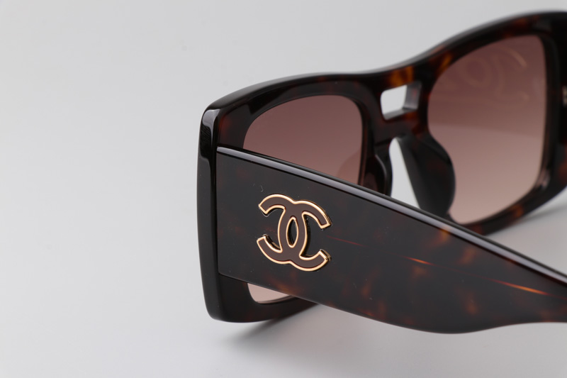 CH5539 Sunglasses Tortoise Gradient Brown
