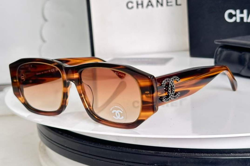 CH5554 Sunglasses Tortoise Gradient Brown