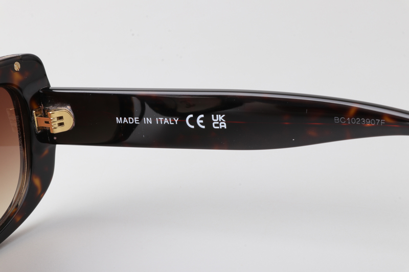 CH5559 Sunglasses Tortoise Gradient Brown