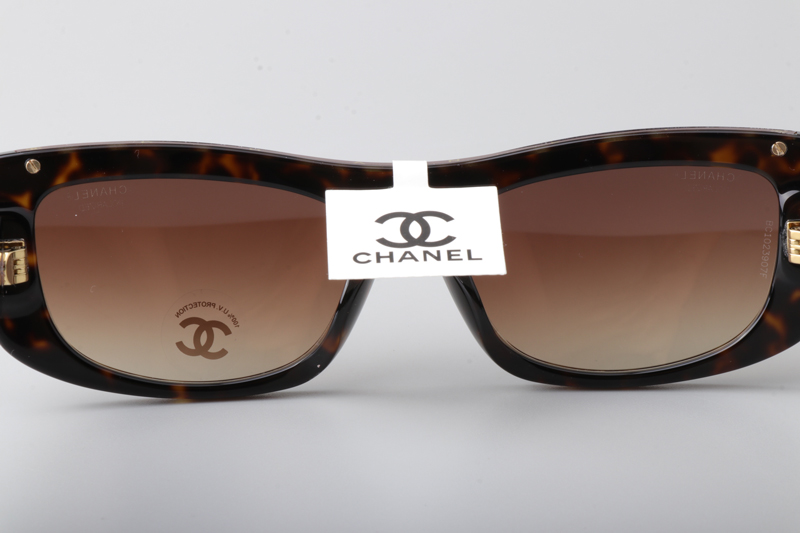 CH5559 Sunglasses Tortoise Gradient Brown