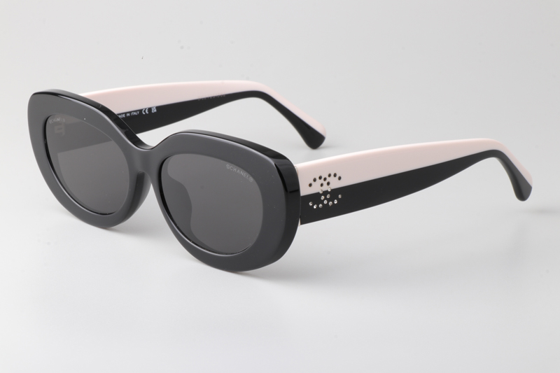 CH5562B Sunglasses Black Gray
