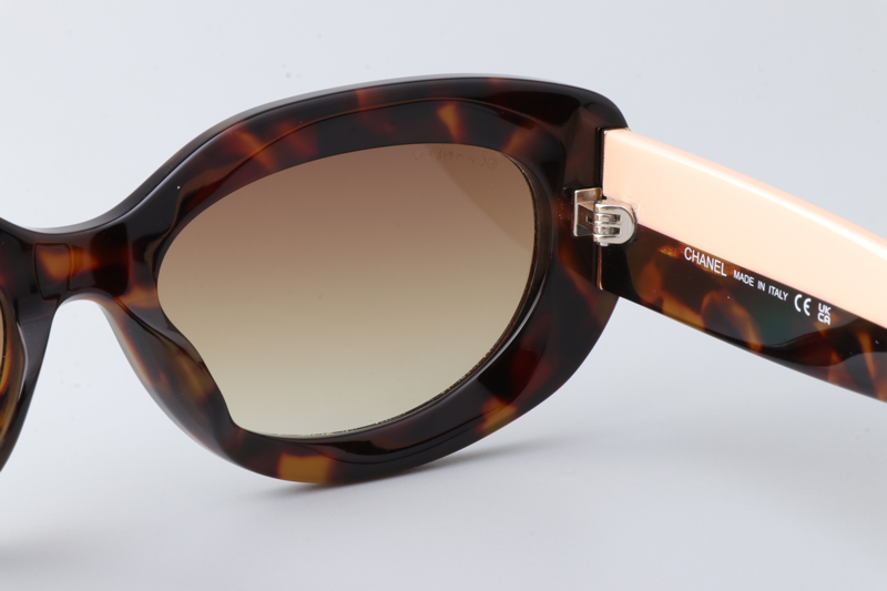 CH5562B Sunglasses Tortoise Pink Gradient Brown