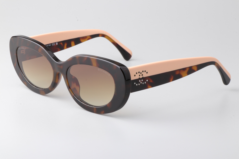 CH5562B Sunglasses Tortoise Pink Gradient Brown
