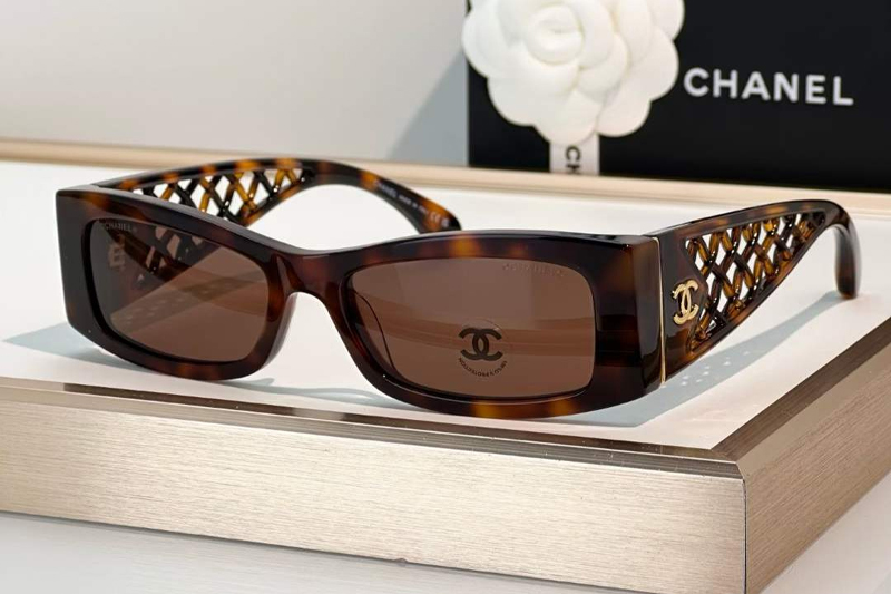 CH5566 Sunglasses Tortoise Brown