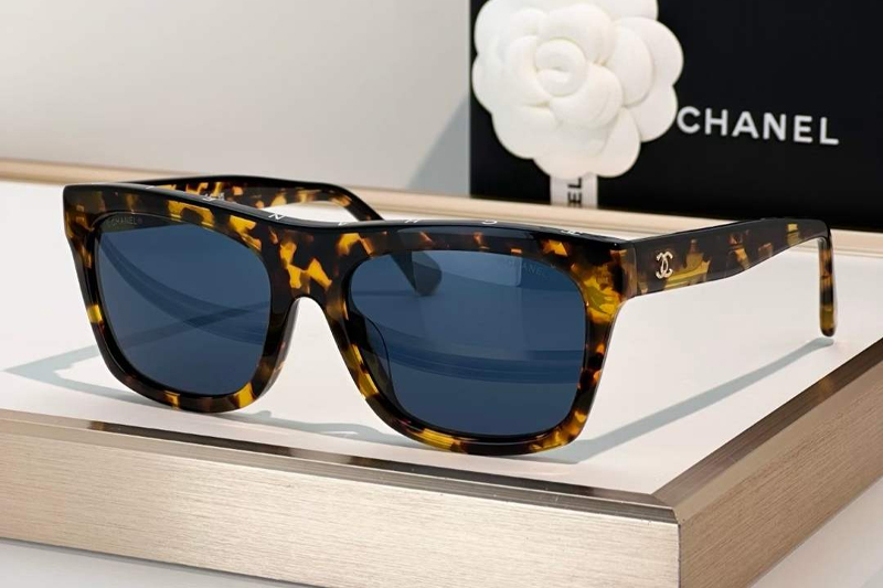 CH5569 Sunglasses Tortoise Blue