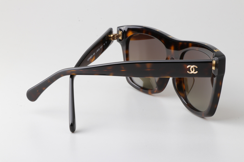 CH5569 Sunglasses Tortoise Gradient Brown