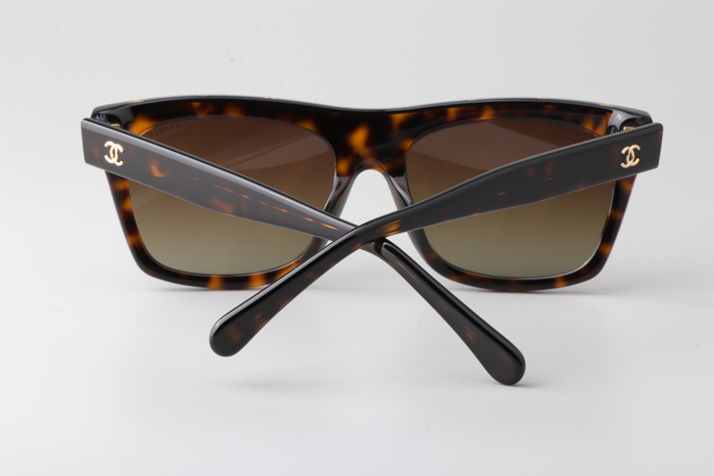 CH5569 Sunglasses Tortoise Gradient Brown