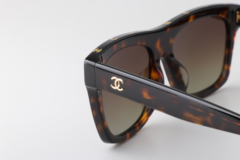 CH5569 Sunglasses Tortoise Gradient Brown