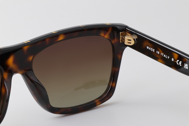 CH5569 Sunglasses Tortoise Gradient Brown