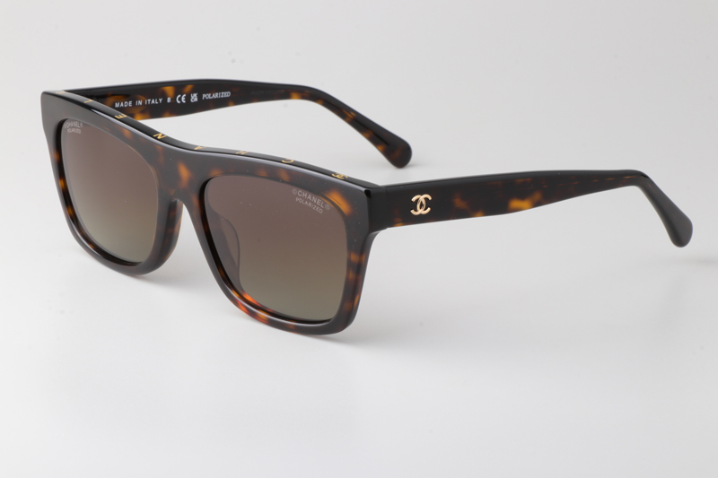 CH5569 Sunglasses Tortoise Gradient Brown