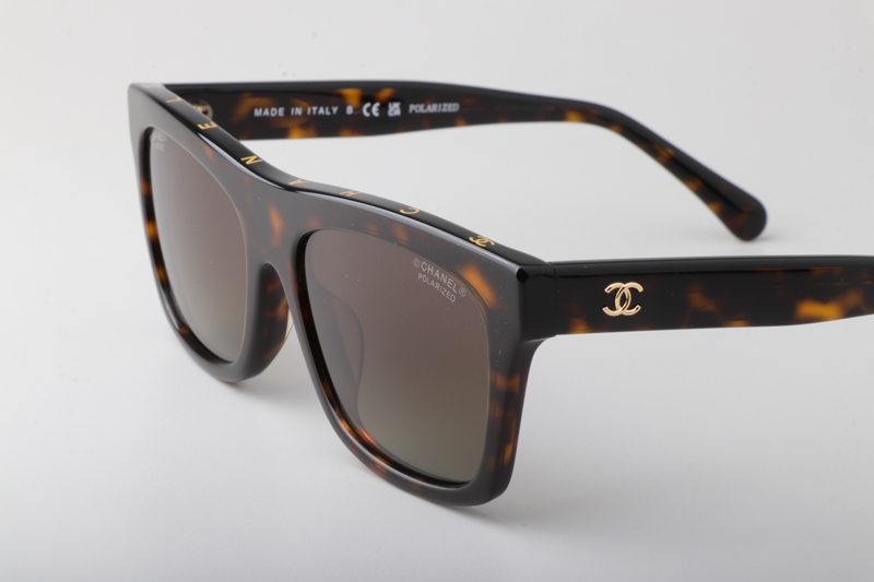 CH5569 Sunglasses Tortoise Gradient Brown