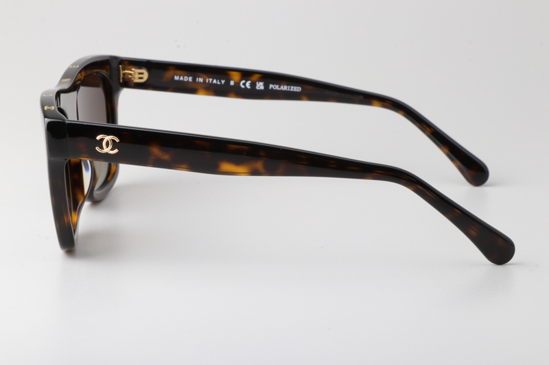 CH5569 Sunglasses Tortoise Gradient Brown