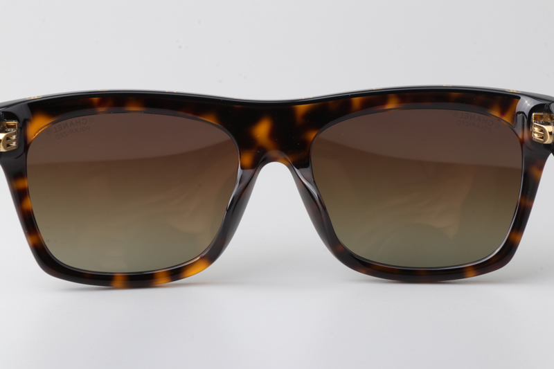 CH5569 Sunglasses Tortoise Gradient Brown