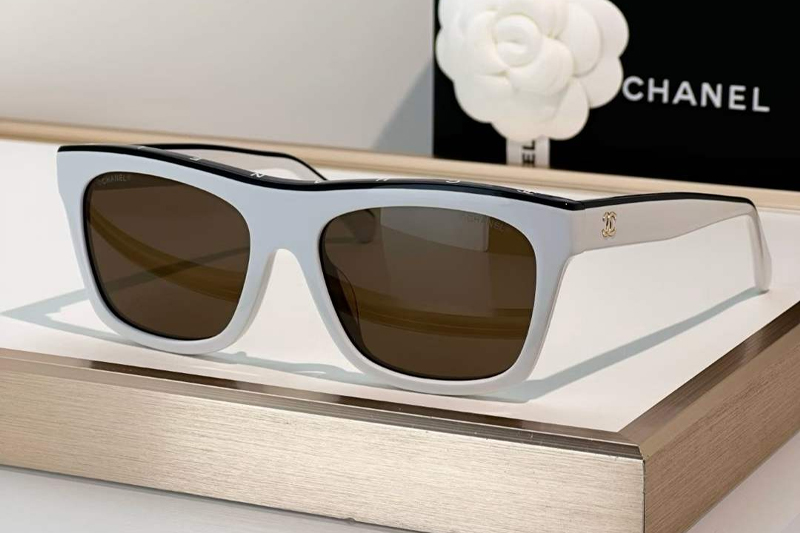 CH5569 Sunglasses White Brown
