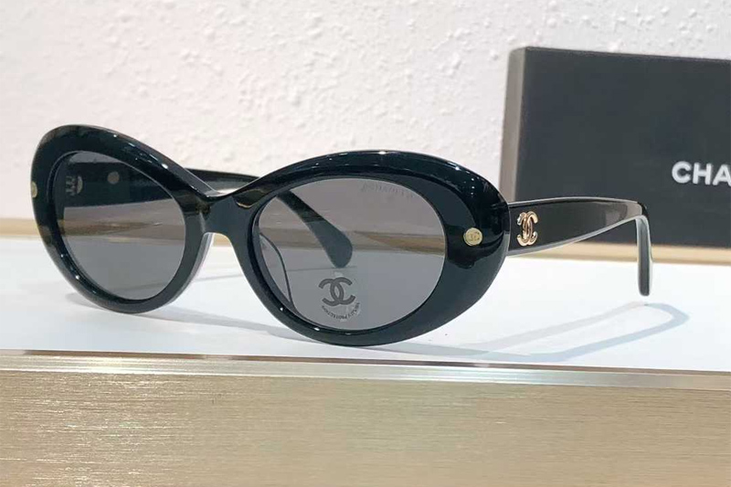 CH71731A Sunglasses Black Gray