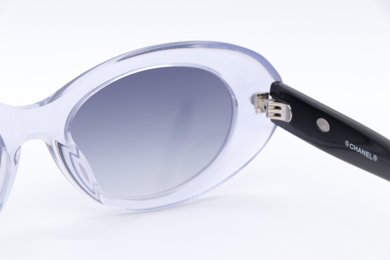 CH71731A Sunglasses Transparent Black Gradient Gray