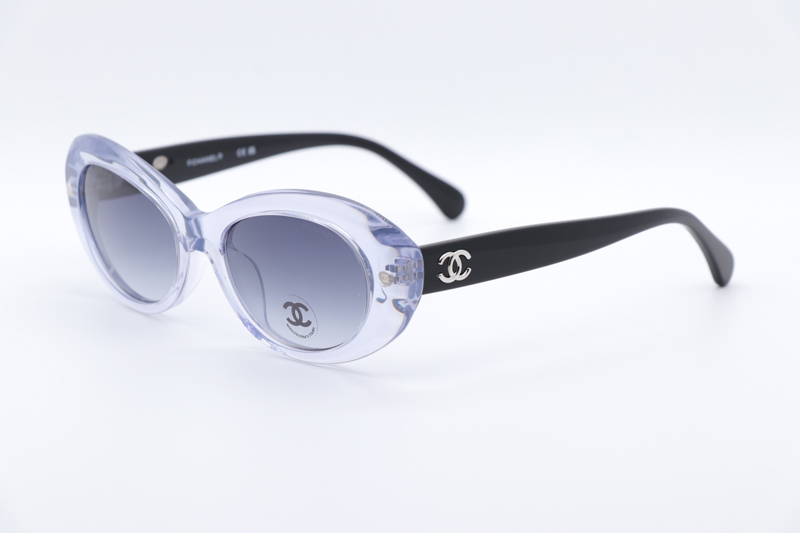 CH71731A Sunglasses Transparent Black Gradient Gray