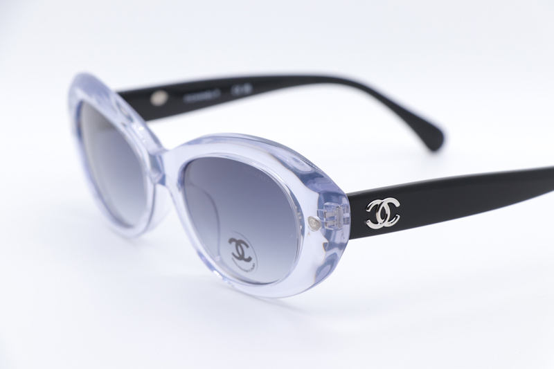 CH71731A Sunglasses Transparent Black Gradient Gray