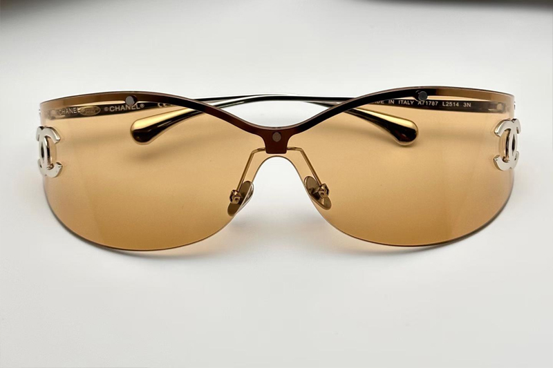 CH71787 Sunglasses Silver Brown