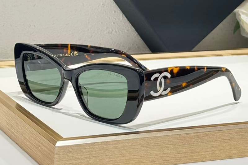 CHA71766 Sunglasses Black Tortoise Green