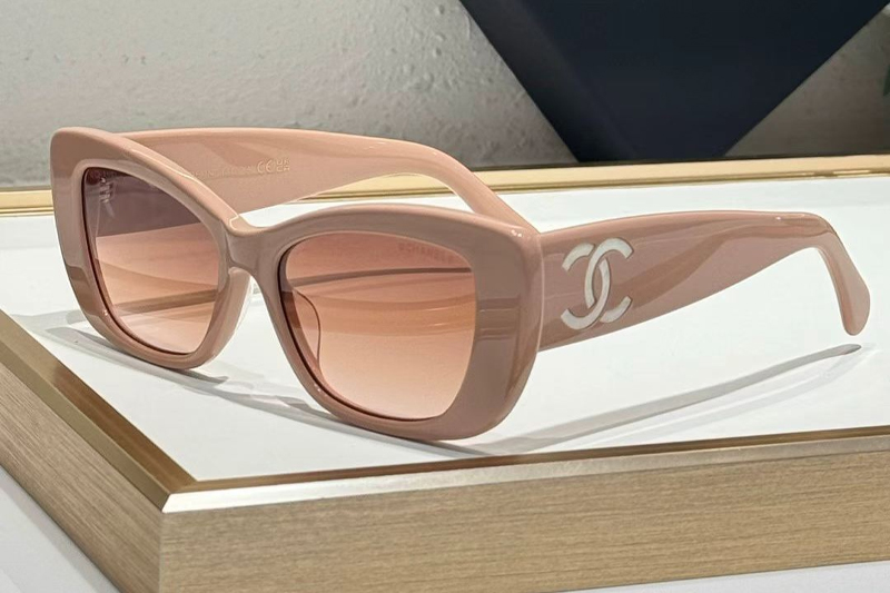 CHA71766 Sunglasses Pink Gradient Pink