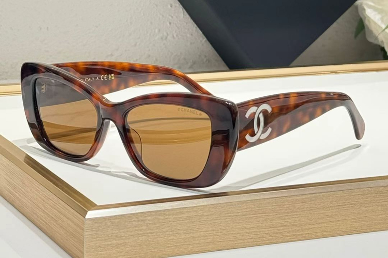 CHA71766 Sunglasses Tortoise Brown