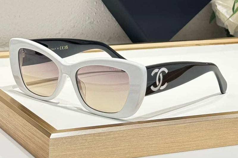 CHA71766 Sunglasses White Black Gradient Brown