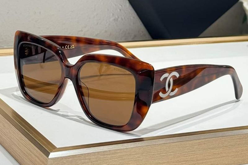 CHA71767 Sunglasses Tortoise Brown