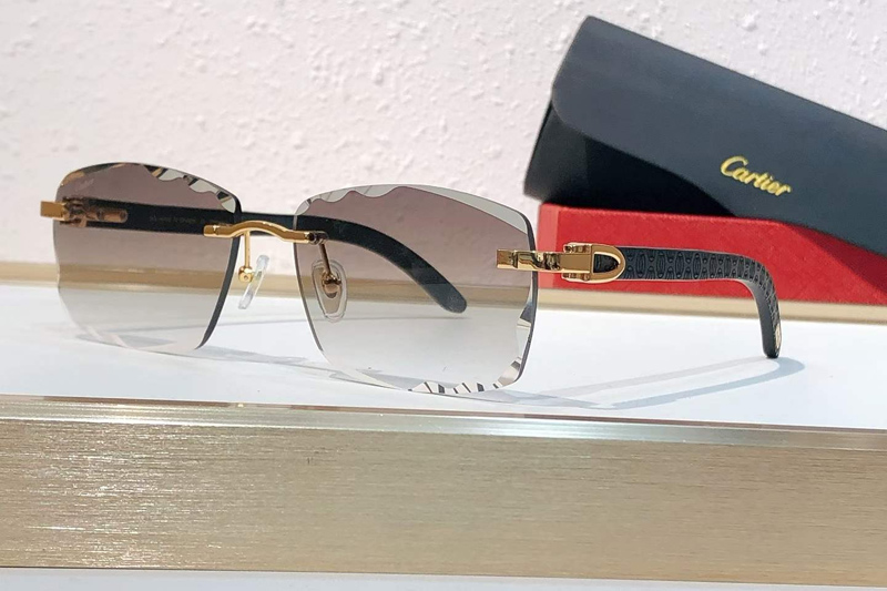 CT01673O Sunglasses Gold Black Gradient Brown