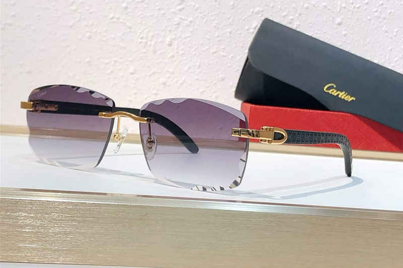 CT01673O Sunglasses Gold Black Gradient Gray