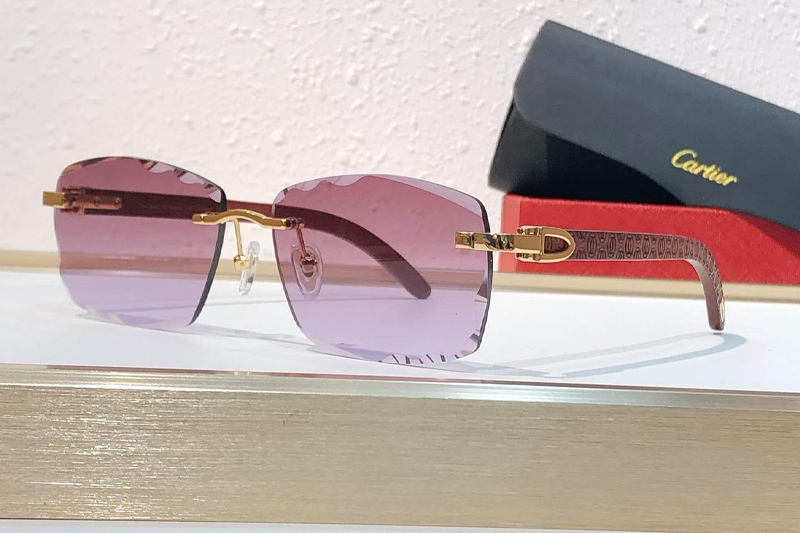 CT01673O Sunglasses Gold Red Gradient Purple