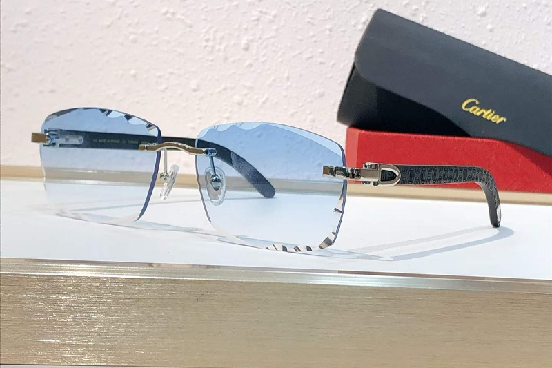 CT01673O Sunglasses Silver Black Gradient Blue