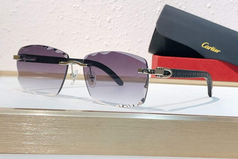 CT01673O Sunglasses Silver Black Gradient Gray