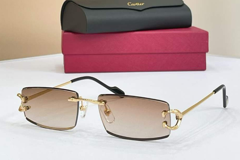 CT0465S Sunglasses Gold Light Brown